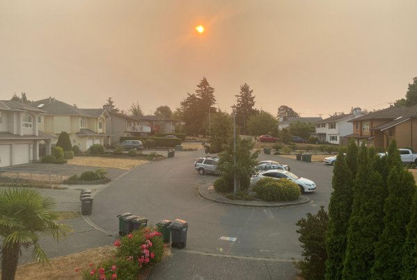 An orange sun in a sky polluted by wildfire smoke over a residential area.